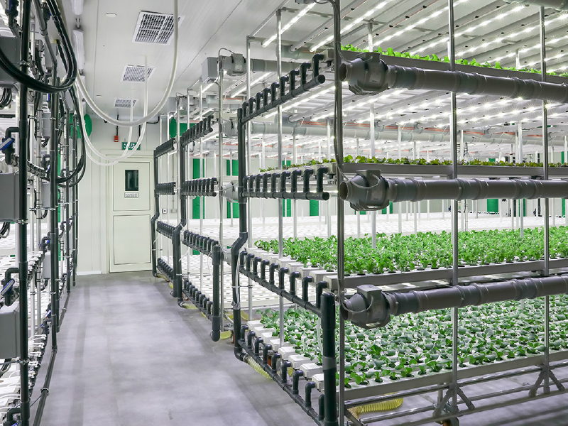 Vertical Farming at İstinye Park – İstanbul / Türkiye